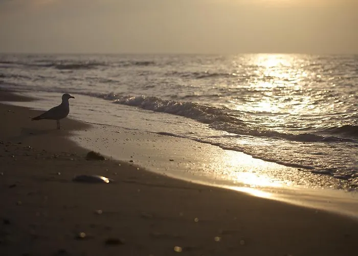 Ferienwohnung Kroepelin 公寓